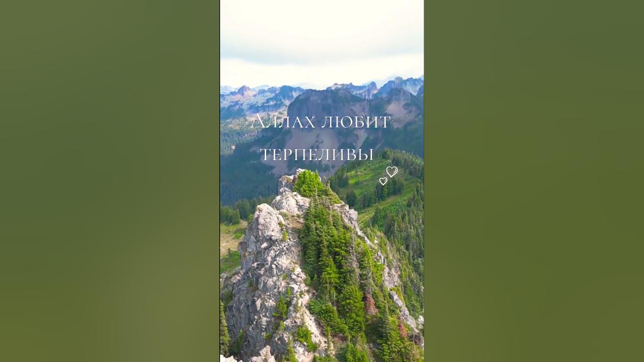 Аллах любит терпеливых ♥️ - YouTube