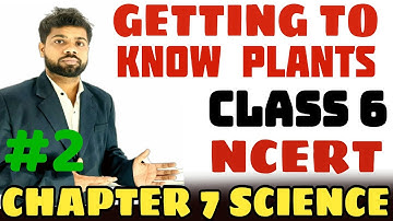 Class 6th Science chapter 7: Getting to know Plants II part 2 II full explanation हिंदी में