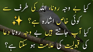 Be Wajah Rona Aane Ki Wajah | Allah Ka Ishara Ya Dil Ki Pukar? | Islamic Bayan In Urdu