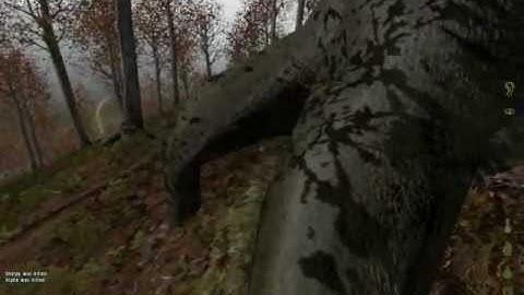 Dayz Hacker - Invincible