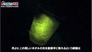 【おもしろ実験】光る！ホタルスライムを作ろう！ [Fun Experiment] Shiny! Firefly slime.