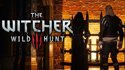 THE NILFGAARDIAN CONNECTION - THE WITCHER 3: NEXT GEN PART 2