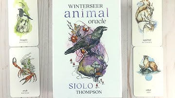 Winterseer Animal Oracle Cards 🐻 Flip Through, Walkthrough, Unboxing, Review Divination Oracle Deck