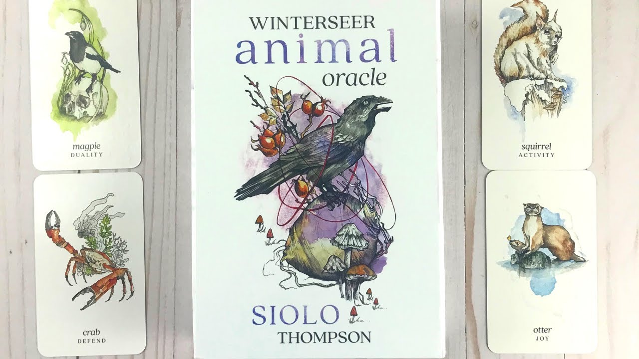 Winterseer Animal Oracle Cards 🐻 Flip Through, Walkthrough, Unboxing,  Review Divination Oracle Deck - YouTube
