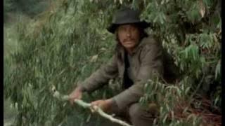 Red Sun - Charles Bronson vs. Toshiro Mifune