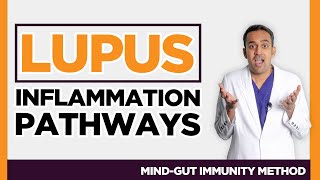 [3 Types of Inflammation] Lupus,  Autoimmune SLE Rheumatologist Doctor Explains Chemical Pathways