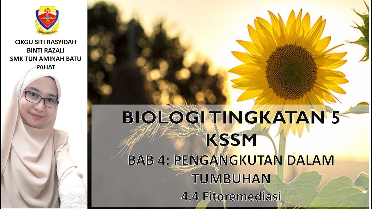 BIOLOGI TINGKATAN 5 KSSM: BAB 4; 4.4 FITOREMEDIASI