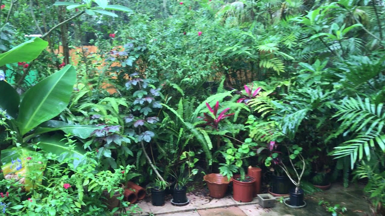 Rainy Day In Florida YouTube