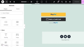 Elementor Page Builder Integration with PayPal Checkout in WordPress