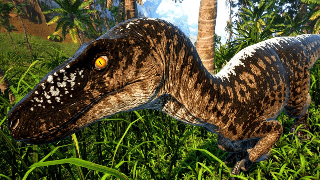 Onmi Raptor The Isle Realismo - Omniraptor, Caçadas em Grupo | Gameplay Imersiva ...