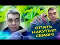 Сажал и буду их сажать и кое-что новенькое! Обзор семян. Томаты, перец, огурцы, петрушка, укроп.