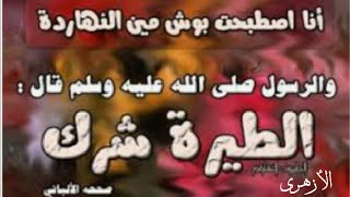 ألفاظ وأمثال شعبية تخالف العقيدة |أمثال محرمة |يقولها كثير من الناس | فضل الأزهرى - YouTube