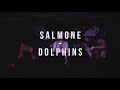 Salmone  dolphins  live at espace b
