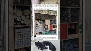 A Backyard Hotel For Bees
