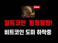 비트코인 실시간 방송] 알트코인  펌핑펌핑! 비트코인 도미 하락중