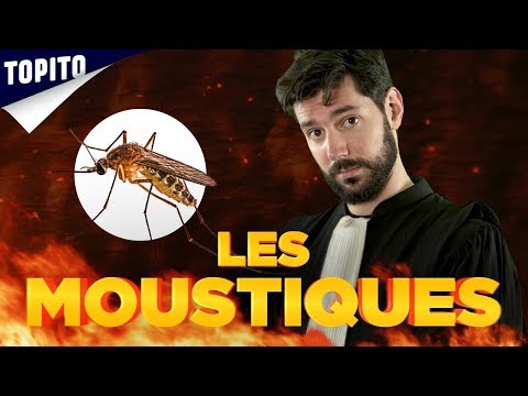 "Les Moustiques" - L'Avocat du Diable #2 | Topito