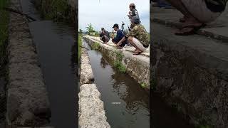 Selokan Pinggir Jalan Banyak Ikan‼️