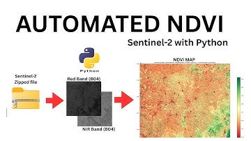 Automate Sentinel-2 NDVI in Python: Unzip, Extract & Map (Part-2)