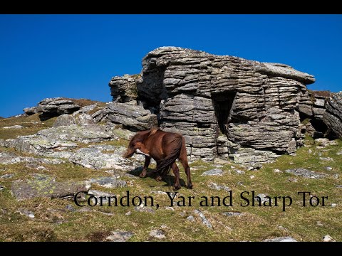Dartmoor Walks: Corndon, Yar and Sharp Tor
