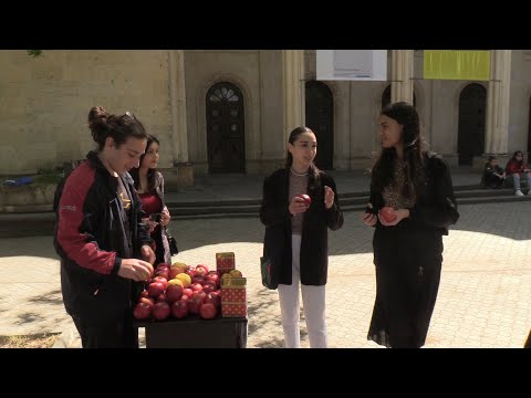 1 ვაშლი 1 ლარად - გორის ახალგაზრდული ცენტრის საქველმოქმედო აქცია