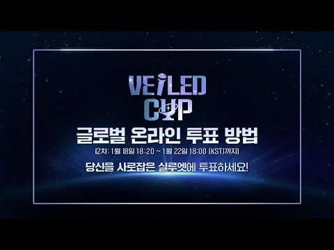 [베일드 컵] 당신을 사로잡은 실루엣에 투표하세요! 🏆