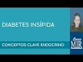 1 Diabetes Insípida