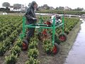 Prvention des maux de dos dans le secteur de lagriculture et de lhorticulture