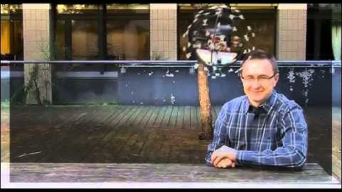 An insect-like, crash-happy flying robot | Willi Torres