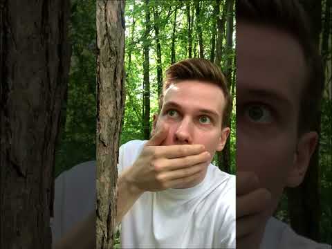 Обнаружен МУТАНТ в ЧЕРНОБЫЛЕ. ЭКСТРЕННЫЕ НОВОСТИ #shorts