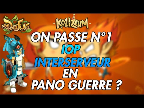 [DOFUS] TARKAN / PREMIER IOP INTERSERVEUR ? PASSAGE EN PANO GUERRE ? 🥇