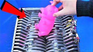 Shredding Squeaky Pig Toy