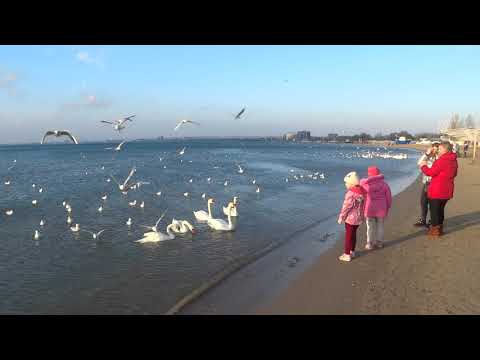Анапа видео обзор города моря набережной 10 марта 2019 года