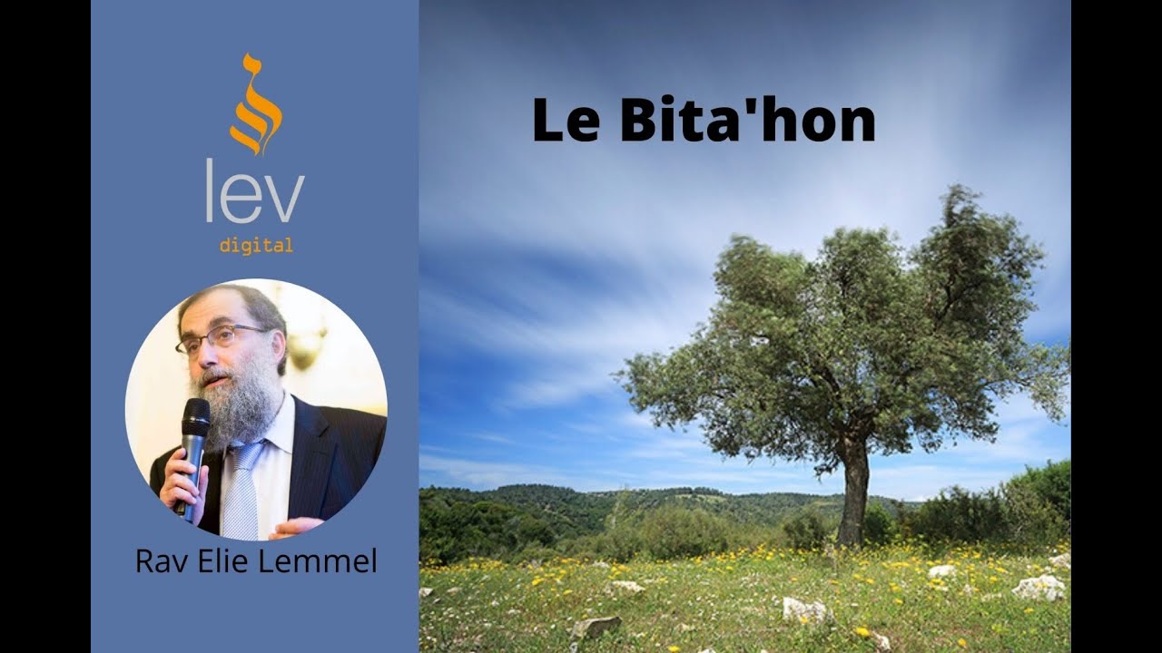 Le Bitah'on - Cours 7 - Rav Elie Lemmel