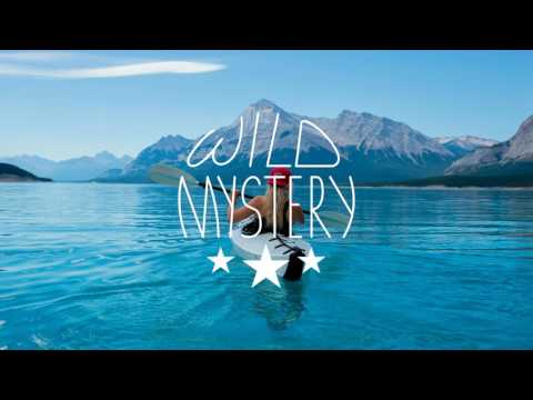 FAUL & Wad Ad vs. Pnau - Changes (EvanMiles Remix)