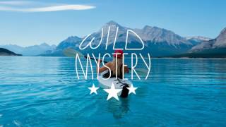 Faul Wad Ad Vs. Pnau - Changes Evanmiles Remix