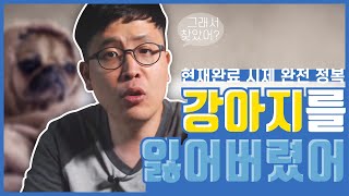 영어회화 | 현재완료 시제 이것만은 꼭 알아두자!  이것 만 알면 현재완료 시제는 거의 정복! 영어문법에서 제대로 배우지 못했던 현재 완료 정복하기
