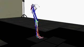 Famous Walking with a total knee prosthesis (simulation with personalised model) Net Worth