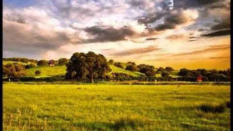 سورة الفرقان | القارئ الشيخ مأمون الشمالي