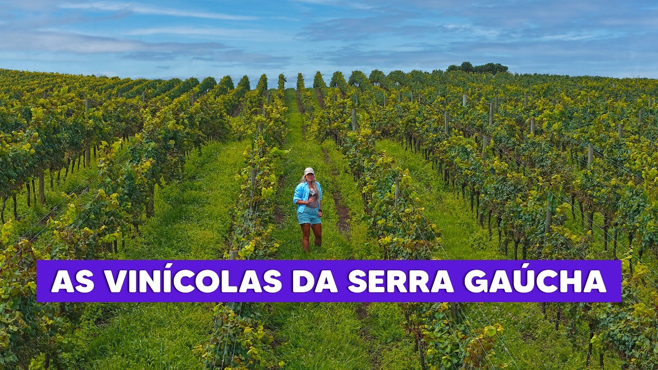 VINÍCOLAS DA SERRA GAÚCHA | Passeios, experiências, degustações e gastronomia