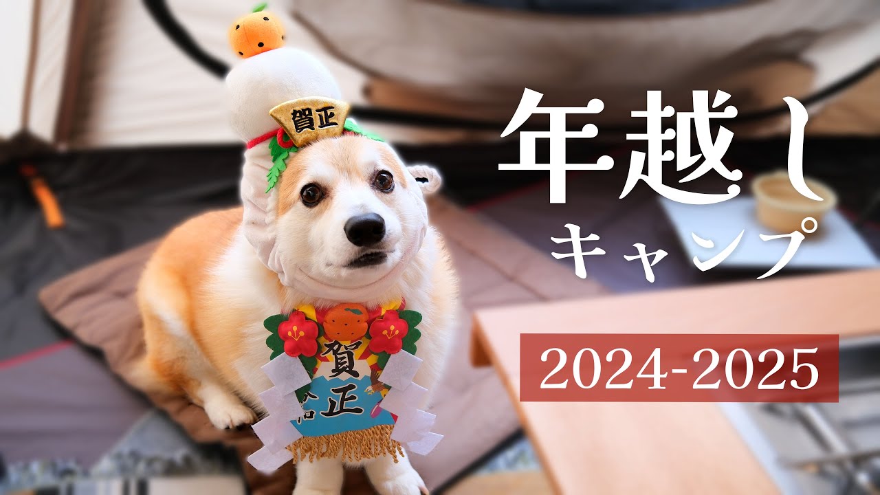 【犬とキャンプ】2024-2025 初めての年越しキャンプ（滋賀）