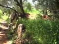مناظـــر من دوار أمالو 6 قناة شبيبة جمعية تنرزمت