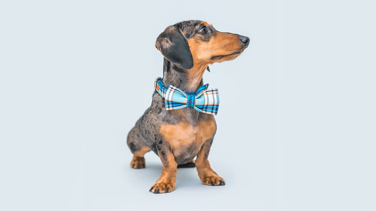 Sam & Ash | Treating you like family