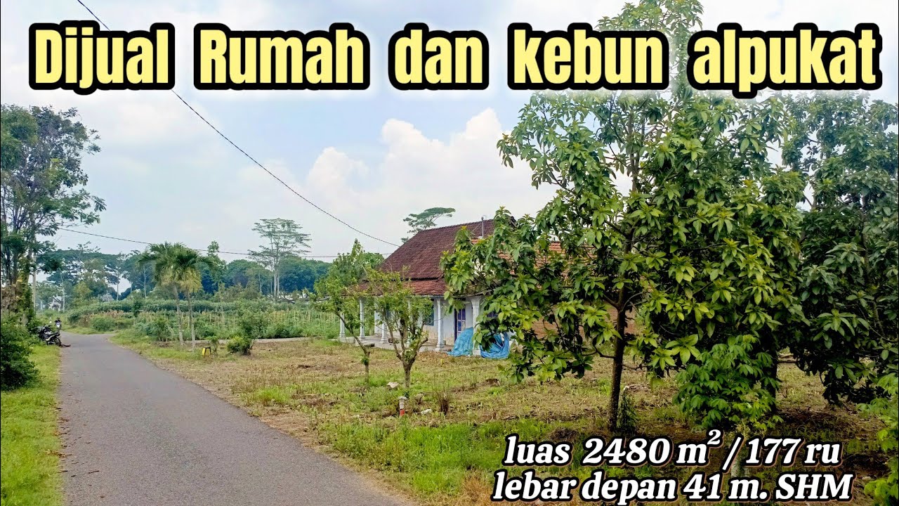 Dijual Rumah dan kebun alpukat ( 082194791760 )