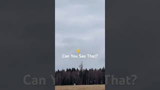 Something strange on a Tree. #strangerthings #misterious #ghost #calmingsounds #concert #relax