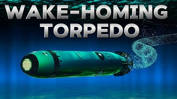How Do WAKE-Homing Torpedoes Work?