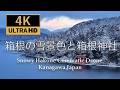 Rare Snow in Hakone 箱根の雪景色 | Hakone Shrine Cinematic (SONY A1 S-Log3)
