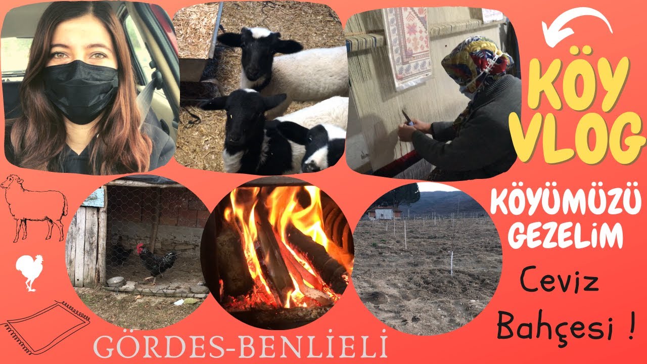 KÖY VLOG🌾CEVİZ BAHÇESİNİ GEZDİK🪴GÖRDES YAĞCIBEDİR HALI DOKUMA🧶KÖYÜMÜ ÖZLEMİŞİM😌GÖRDES-BENLİELİ KÖYÜ🌿