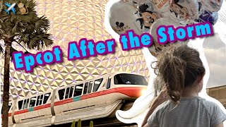 EPCOT After The Storm | Food & Wine Festival | Friendship Boat | Living with the Land | The Seas