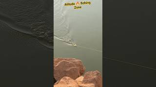 Atitude🔥 Altimet 😶‍🌫️ Frog fishing zone 🎣 || Atitude Boys Fish kiling🎣#shorts