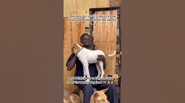 Please be kind and vist my PayPal link in bio to donate anything you can afford for dog food 🍱 🍱🙏